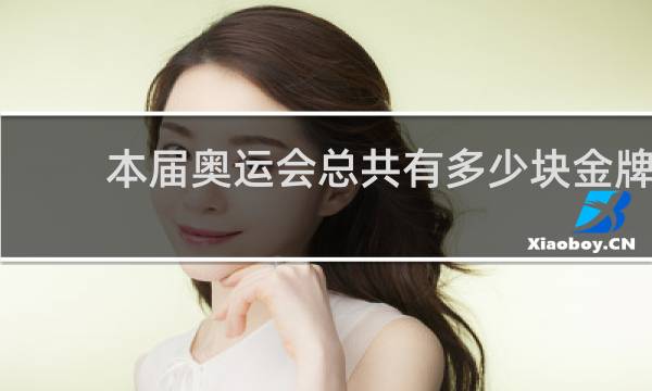 本届奥运会总共有多少块金牌