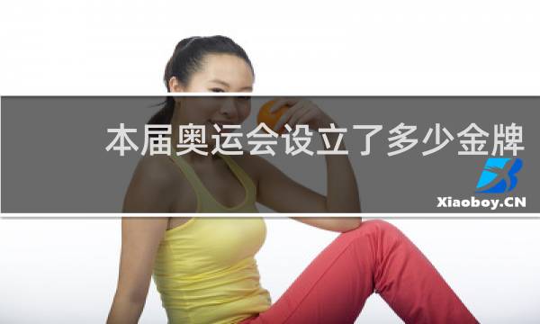 本届奥运会设立了多少金牌