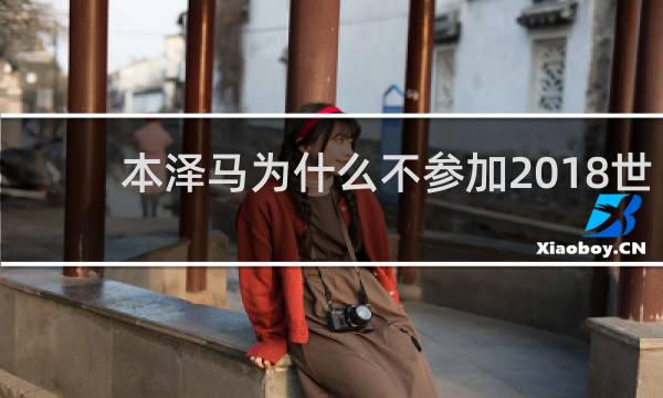 本泽马为什么不参加2018世界杯