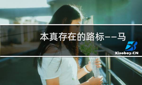 本真存在的路标——马丁·海德格尔(关于本真存在的路标——马丁·海德格尔的简介)图片