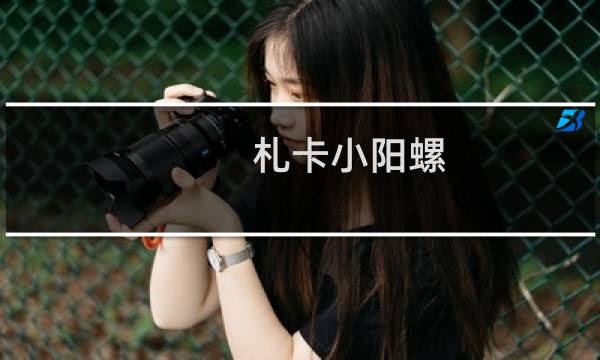 札卡小阳螺(关于札卡小阳螺的简介)