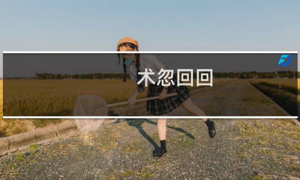 术忽回回(关于术忽回回的简介)