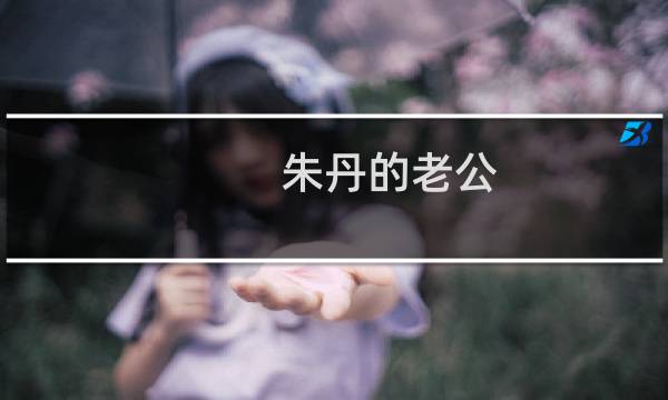 朱丹的老公