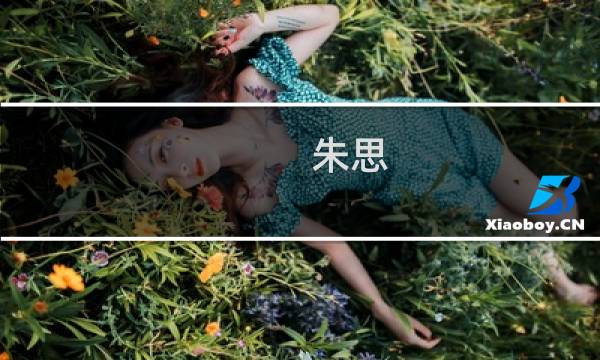 朱思(关于朱思的简介)