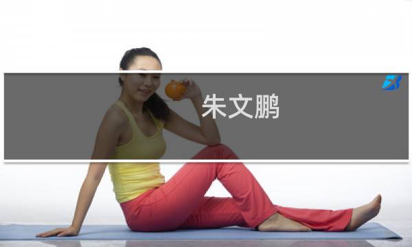 朱文鹏(关于朱文鹏的简介)图片