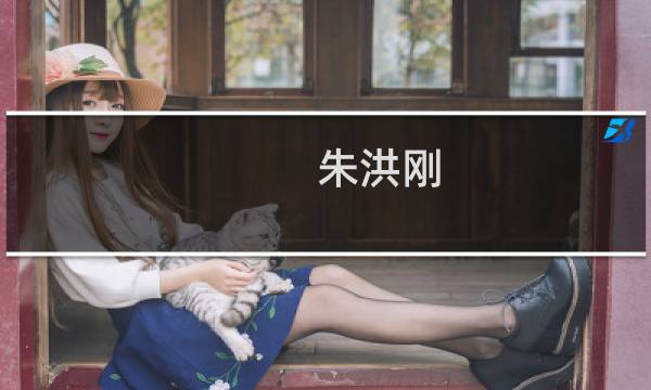 朱洪刚(关于朱洪刚的简介)图片