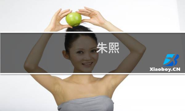 朱熙(关于朱熙的简介)