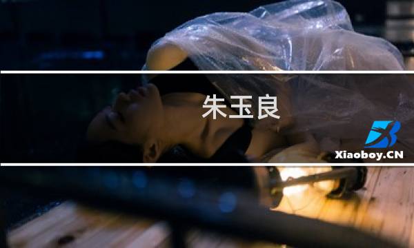朱玉良(关于朱玉良的简介)图片