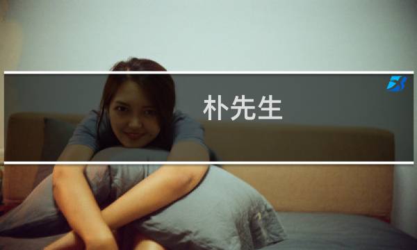 朴先生(关于朴先生的简介)