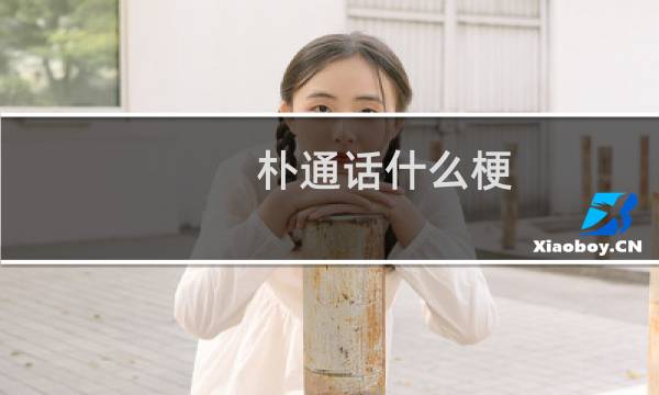 朴通话什么梗