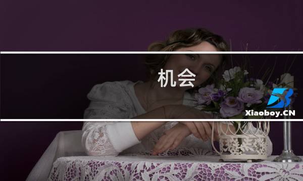 机会(关于机会的简介)图片
