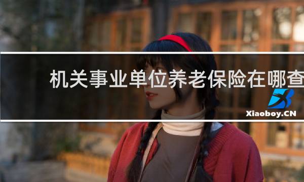 机关事业单位养老保险在哪查