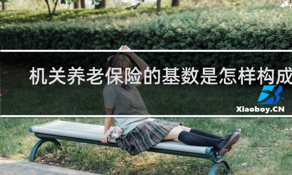 机关养老保险的基数是怎样构成的图片