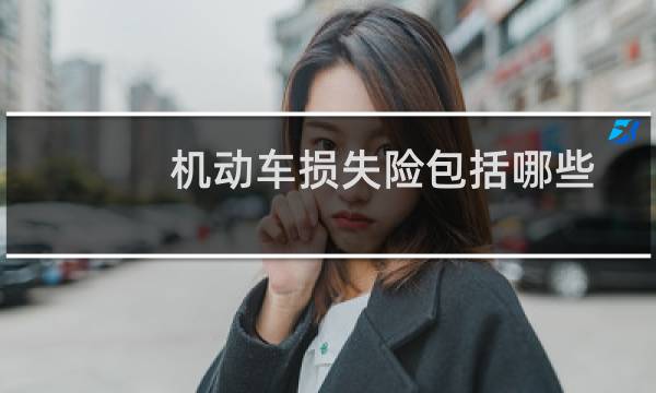 机动车损失险包括哪些图片