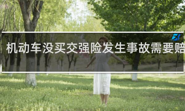 机动车没买交强险发生事故需要赔偿吗
