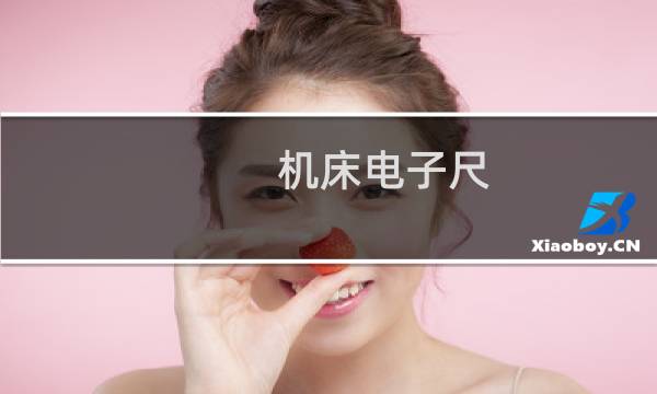 机床电子尺
