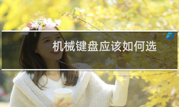 机械键盘应该如何选?