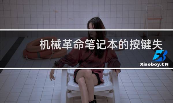 机械革命笔记本的按键失灵图片