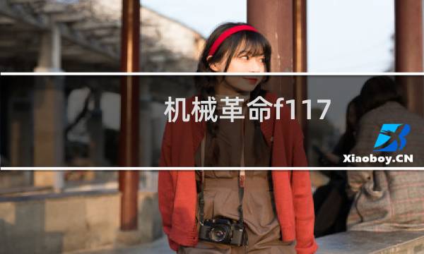 机械革命f117图片