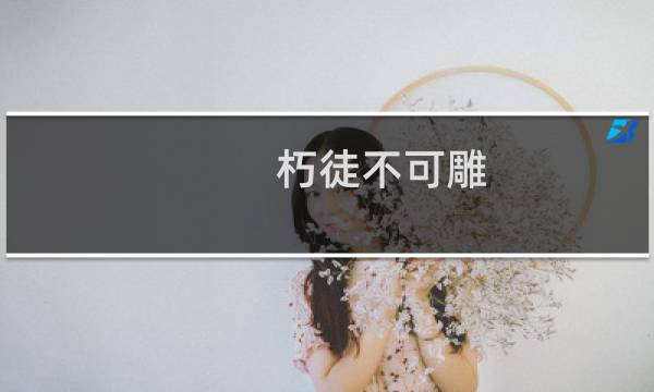 朽徒不可雕(关于朽徒不可雕的简介)图片