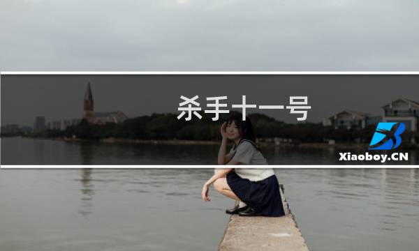 杀手十一号(关于杀手十一号的简介)图片