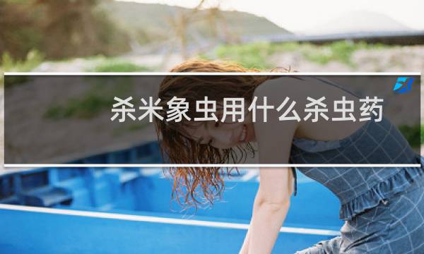 杀米象虫用什么杀虫药