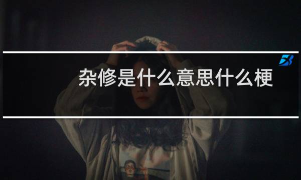 杂修是什么意思什么梗