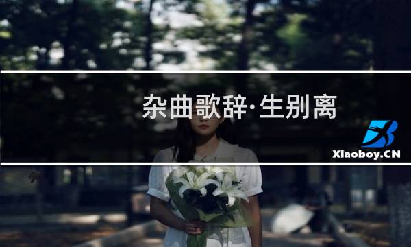 杂曲歌辞·生别离(关于杂曲歌辞·生别离的简介)