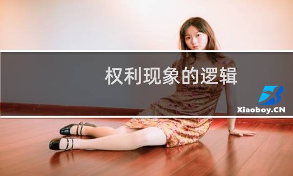 权利现象的逻辑(关于权利现象的逻辑的简介)图片