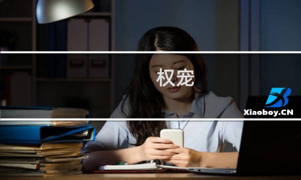 权宠(关于权宠的简介)