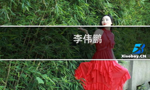 李伟鹏(关于李伟鹏的简介)图片