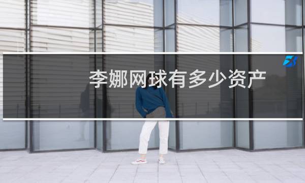 李娜网球有多少资产