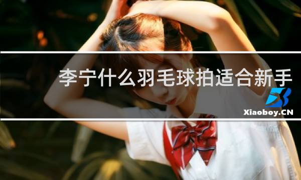 李宁什么羽毛球拍适合新手