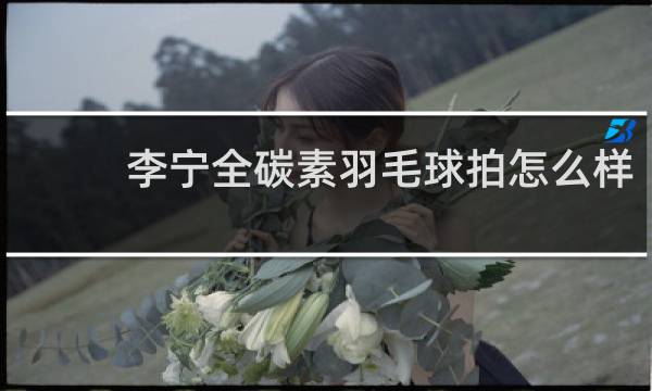 李宁全碳素羽毛球拍怎么样