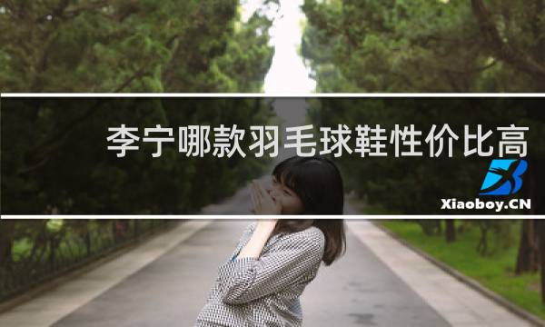李宁哪款羽毛球鞋性价比高