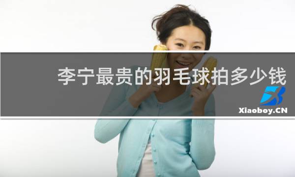 李宁最贵的羽毛球拍多少钱