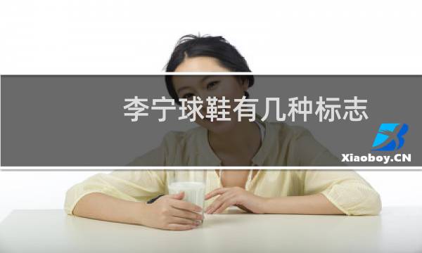 李宁球鞋有几种标志