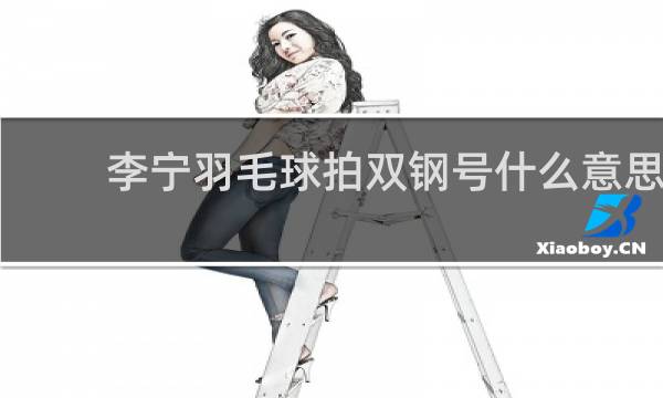 李宁羽毛球拍双钢号什么意思