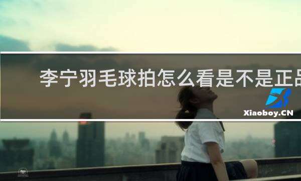 李宁羽毛球拍怎么看是不是正品