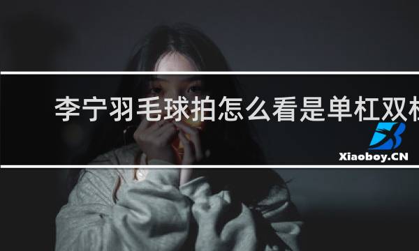 李宁羽毛球拍怎么看是单杠双杠