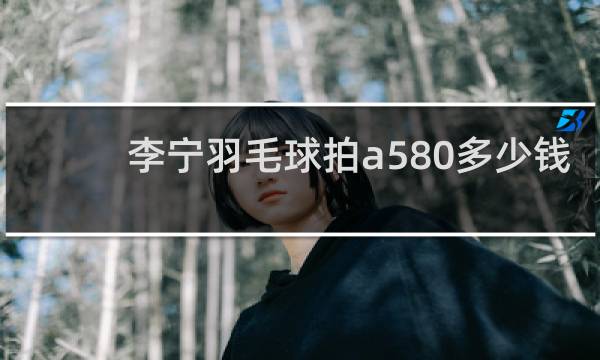 李宁羽毛球拍a580多少钱