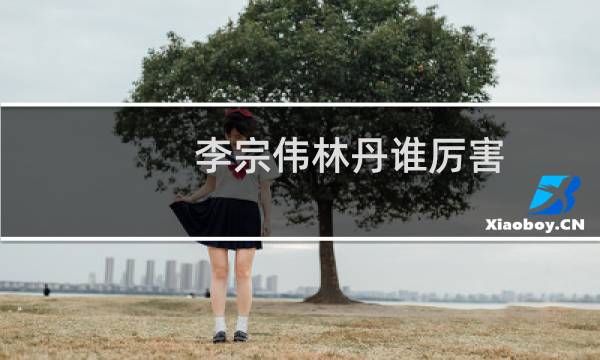 李宗伟林丹谁厉害