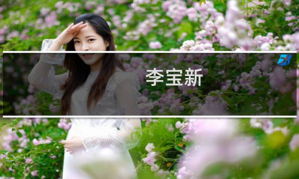 李宝新(关于李宝新的简介)
