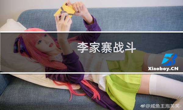 李家寨战斗(关于李家寨战斗的简介)图片