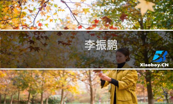 李振鹏(关于李振鹏的简介)图片