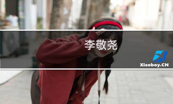 李敬尧(关于李敬尧的简介)