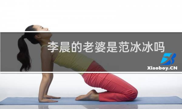 李晨的老婆是范冰冰吗?(李晨的老婆现在是谁和范冰冰分手以后没有老婆了)