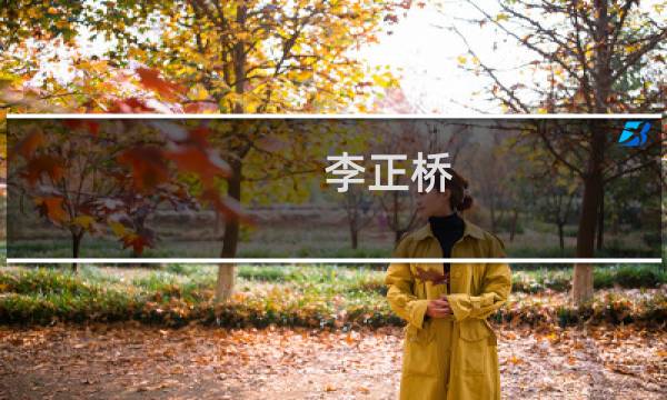 李正桥(关于李正桥的简介)