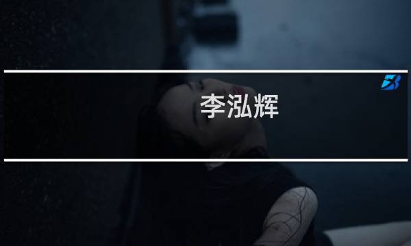 李泓辉(关于李泓辉的简介)图片