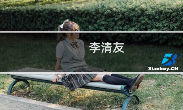 李清友(宁强首富是谁?)